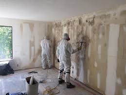 Environmental Consulting for Mold Prevention in Unionville, MO